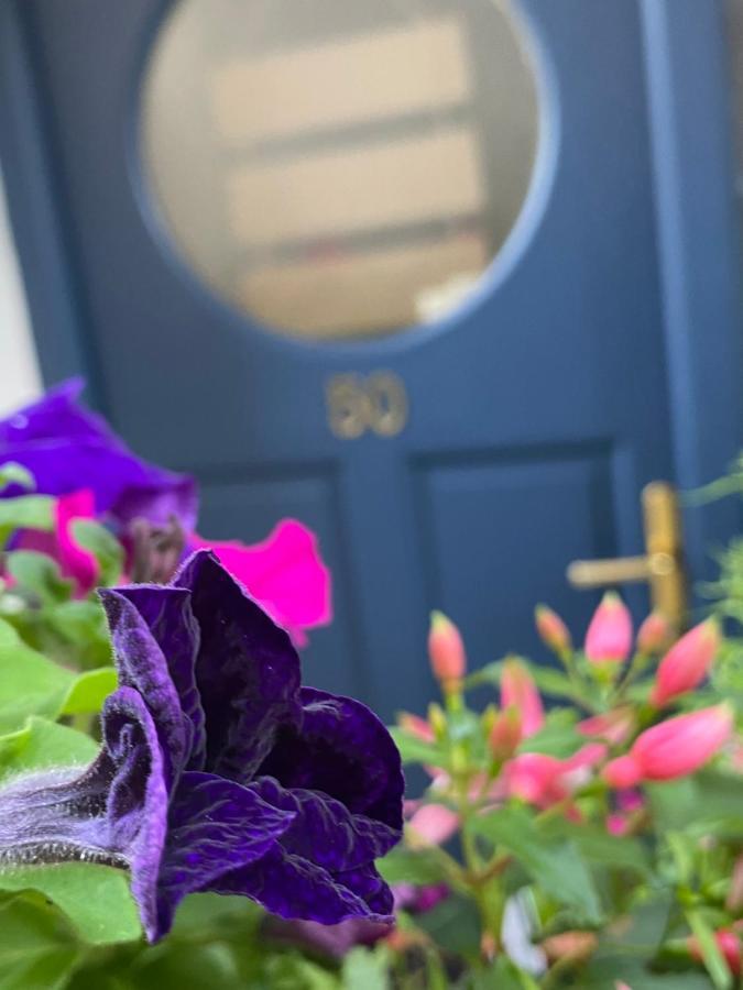 Summer Cottage In Kinsale Dış mekan fotoğraf